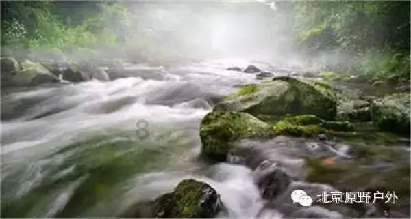 最后生还者2